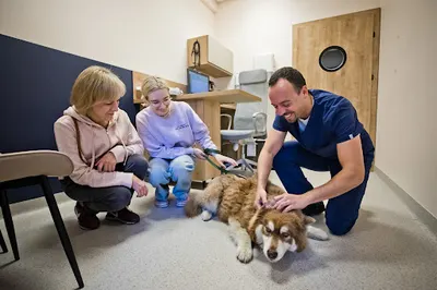 Przychodnia weterynaryjna Neo Vet lek. wet. Jakub Pernak